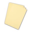 Poli-Flex Premium Flexfolie Beige
